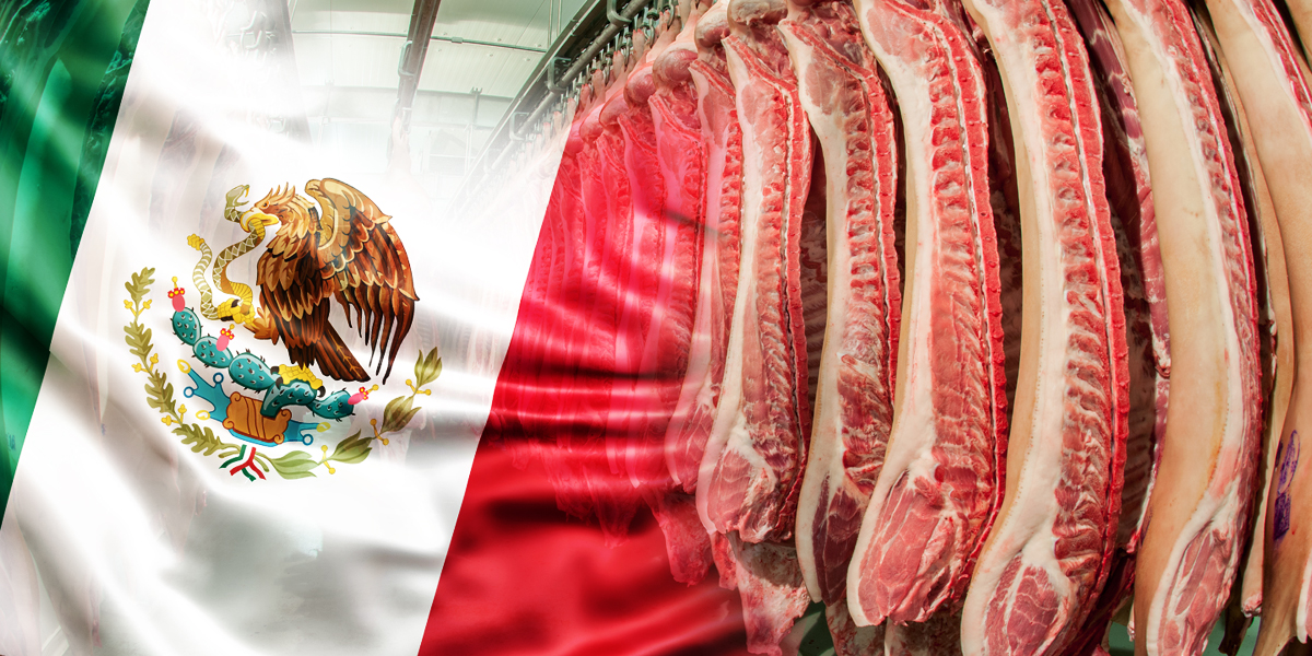 MÉXICO ES DE LOS PRINCIPALES PRODUCTORES DE CARNE DE CERDO A NIVEL MUNDIAL | El Periódico de Saltillo