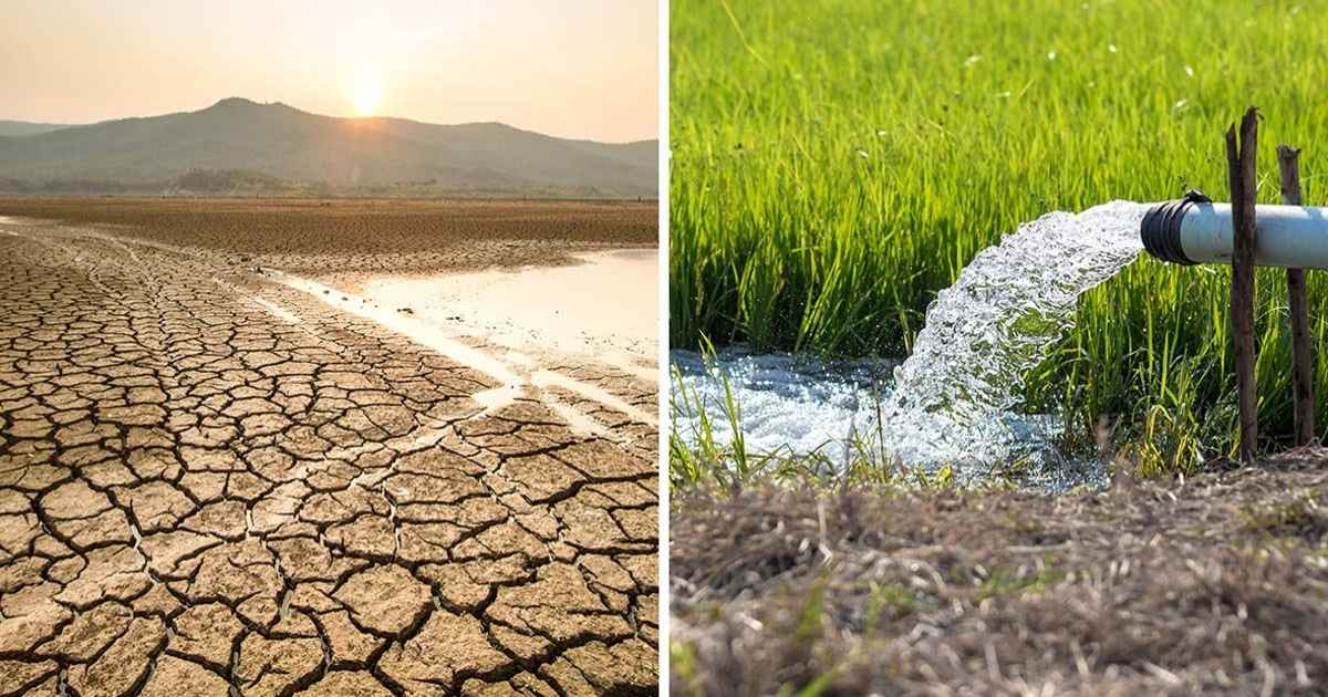 Del campo al grifo: el impacto del agro en la escasez de agua en México ...