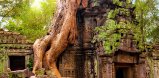 Ta Prohm, el templo devorado por la selva en Camboya