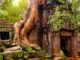 Ta Prohm, el templo devorado por la selva en Camboya