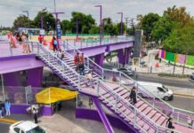 Gobierno capitalino impulsa imagen urbana con ajolotes y color morado rumbo al Mundial 2026