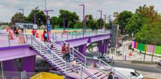 Gobierno capitalino impulsa imagen urbana con ajolotes y color morado rumbo al Mundial 2026