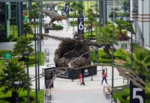 COAHUILA FORTALECE SU PROYECCIÓN NACIONAL E INTERNACIONAL CON LA INAUGURACIÓN DE LA EXPOSICIÓN «PASAJEROS DEL TIEMPO» EN EL AIFA