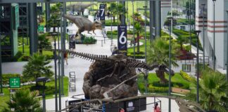 COAHUILA FORTALECE SU PROYECCIÓN NACIONAL E INTERNACIONAL CON LA INAUGURACIÓN DE LA EXPOSICIÓN «PASAJEROS DEL TIEMPO» EN EL AIFA