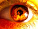 Oromiel naranja