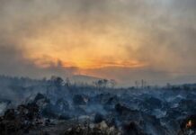 ONU advierte que los gases de efecto invernadero alcanzaron niveles récord en 2025