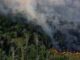 Arde el Amazonas: incendios aumentan 253% en dos semanas en el estado brasileño de Amazonas